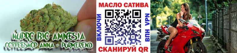 OMG как зайти  как найти закладки  Емва  ТГК Wax 