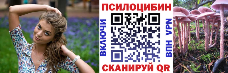 blacksprut   Емва  Псилоцибиновые грибы Psilocybine cubensis  даркнет сайт 